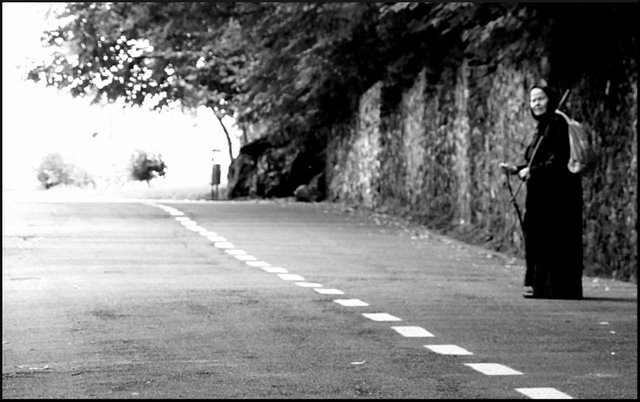 The Road toword the Light