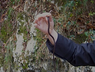 My Spiritual Father's Hand