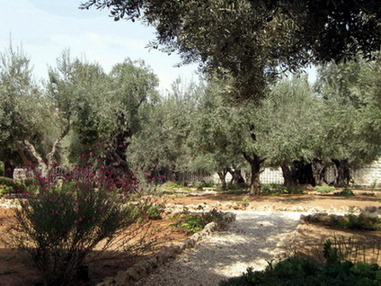 Gethsemane Garden