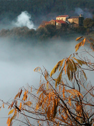 frere-jean 
skite Sainte-Foy, 
122 
2010-10-04 13:58:22