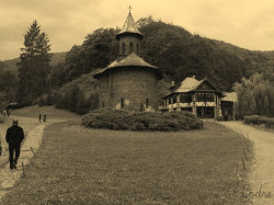 codre 
La manastirea Prislop 
2010-10-11 17:00:07