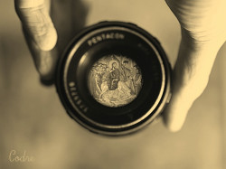 codre 
through the lens 
2010-10-14 17:27:02