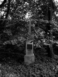 sepia 
 
2010-10-16 14:13:49