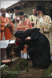 hmiodrag 
Парастос 
2010-10-20 18:49:02
