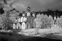 Tolik 
Никольский монастырь 
130 
2010-10-22 18:48:19