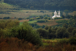 ovidiu_m 
 
101 
2010-10-28 07:44:23
