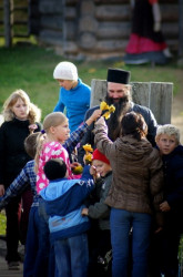 sisadmin 
Желтые розы из листьев... 
2010-10-29 00:23:12