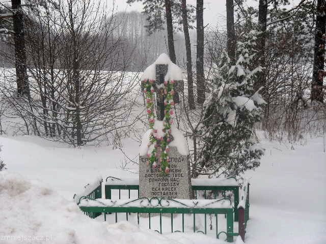 Zima