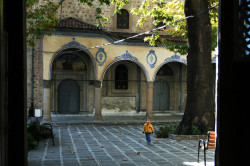Anima_Mea 
 
2010-11-09 20:52:57
