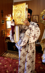 miszacz 
DEACON 
2010-11-15 21:16:34
