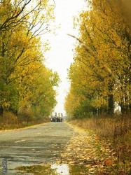 Claudia_Teo 
Sfintirea clopotului din sat 
2010-11-15 21:54:01