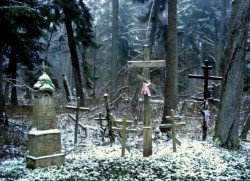 pogodno 
Na Krynoczce 
2010-11-19 17:03:10