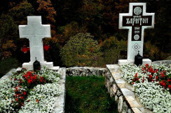 Novakovic 
КРСТ И ЗВОНА НАД СРБИЈОМ---Cross and the bells tоne up of Serbia, 17 
2010-11-24 12:06:37