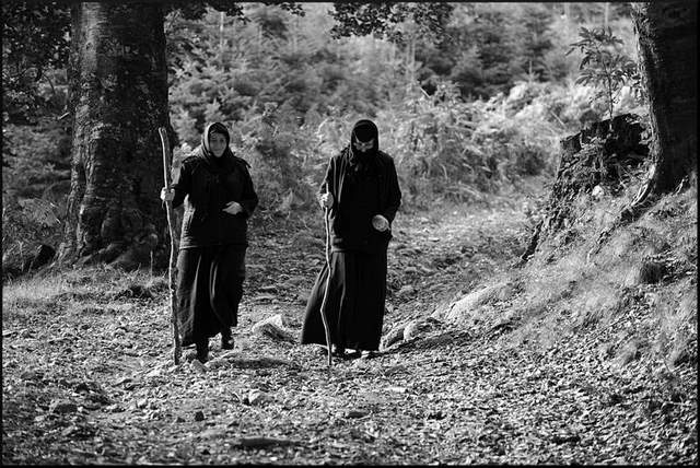 Walking in the forest