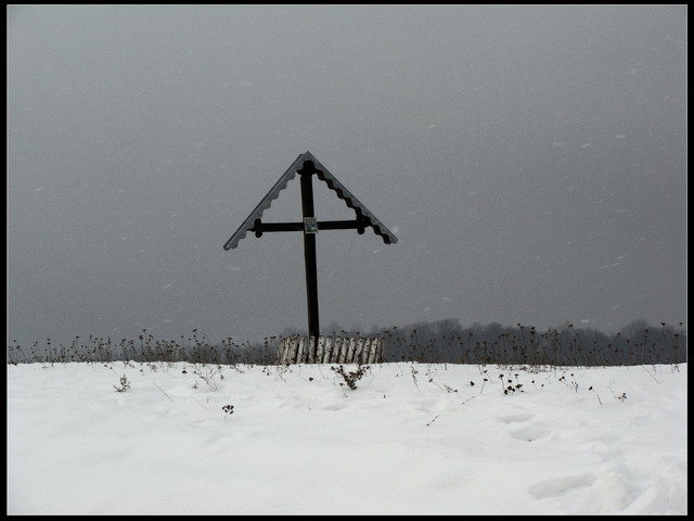 Troiţa singuratică