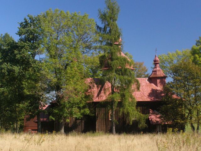 Krywa