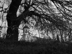 sepia 
 
2010-12-07 21:37:44