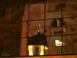 codre 
Now we see the future like in the mirror 
2010-12-14 17:43:01
