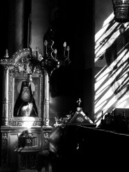 Daniel 
Relics of Saint Pious George of Cernica 
2010-12-19 07:50:41