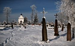 Adam Falkowski 
Kresowo ... 
2010-12-19 17:25:39