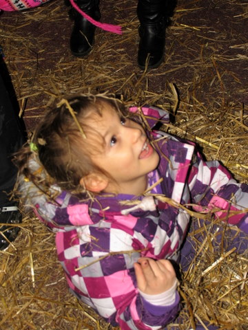 PIJUKANJE 2011