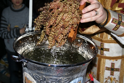 BOBOTEAZA 2011