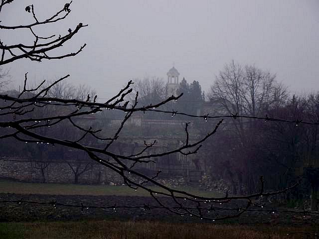 AFTER RAIN