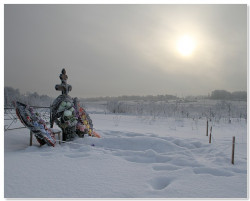 Hongor 
Ямны Край погоста 
2011-01-04 19:05:46