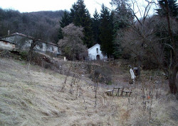 Diyana 
Буховски манастир "Св. арх. Михаил" 
2011-01-06 15:25:17