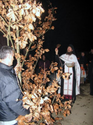 Miladin Šuškal 
KLISINA - Badnjak 2011 
2011-01-06 21:31:34