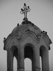 sepia 
 
2011-01-10 15:27:24