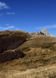 ketevanbd 
Ка конаку манастира Светог Илије 
2011-01-10 15:58:13