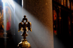 zeljko 
Јутро 
2011-01-10 16:32:03