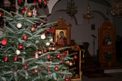 p.mihai 
decembrie 2011 
2011-01-12 20:12:35
