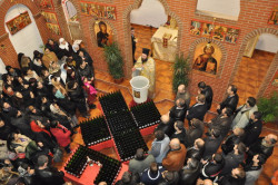 jorge 
Parohia "Sf. Nectarie Taumaturgul" - Coslada, Spania 
2011-01-14 15:13:27