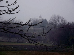 plamka_r 
AFTER RAIN 
2011-01-15 18:47:08