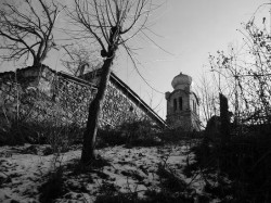 sepia 
 
2011-01-16 17:23:26