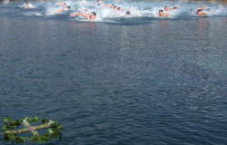 ketevanbd 
Богојављење - Будва, 2011.г. 
2011-01-20 19:30:42