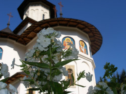 Valentin 
Manastirea Sihastria 
2011-01-21 19:11:15