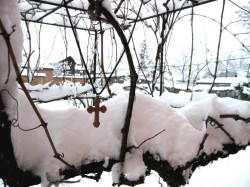 dule 
Зимска идила 
2011-01-24 10:13:08