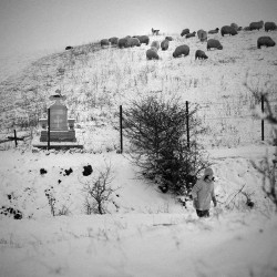 ovidiu_m 
 
2011-01-25 19:18:29