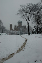 AleksaSrbin 
у белом 
2011-01-26 08:36:14