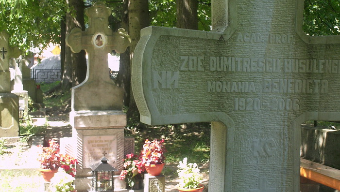 Cimitirul Manastirii Putna