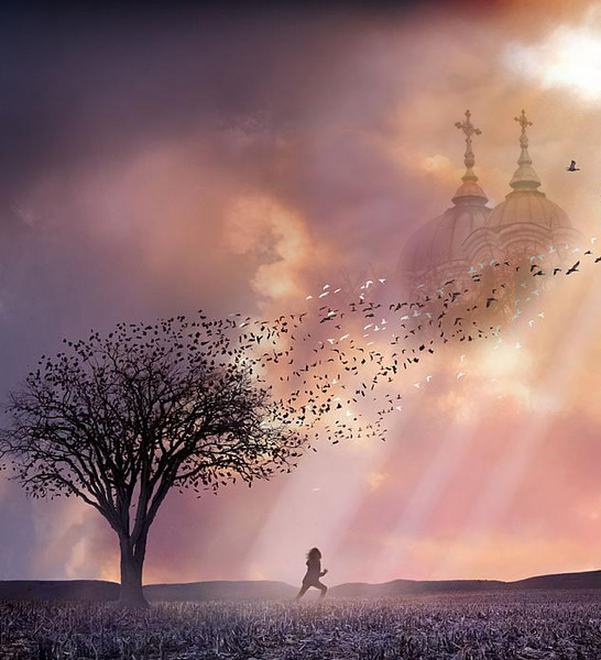 Dream