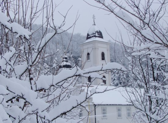 Belina Beočinskog Manastira
