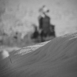 ovidiu_m 
pierdere / loss 
2011-02-01 18:18:32