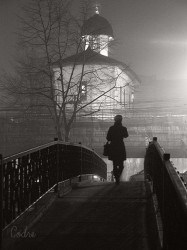 codre 
 
153 
2011-02-01 23:37:28