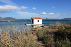 manouil 
 
2011-02-02 09:37:04