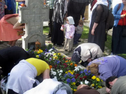 Динароид 
Код Св. Јустина Ћелијског 
2011-02-04 22:39:23