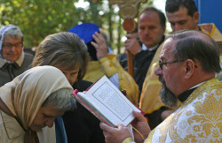 palavos 
*** 
2011-02-05 22:53:44